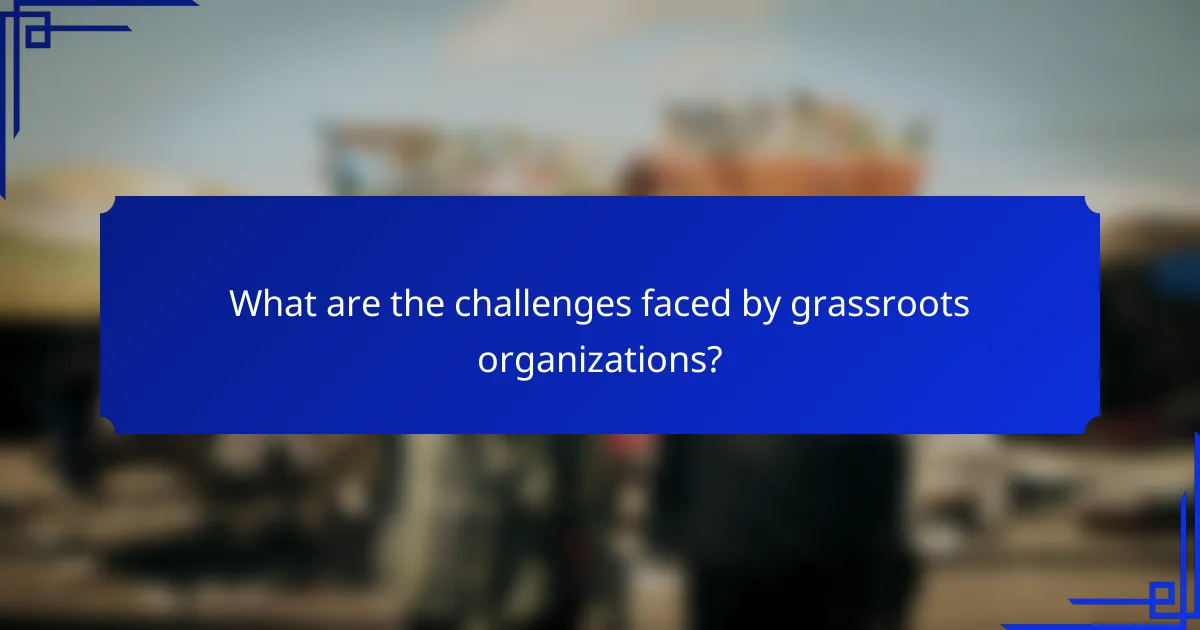 What are the challenges faced by grassroots organizations?