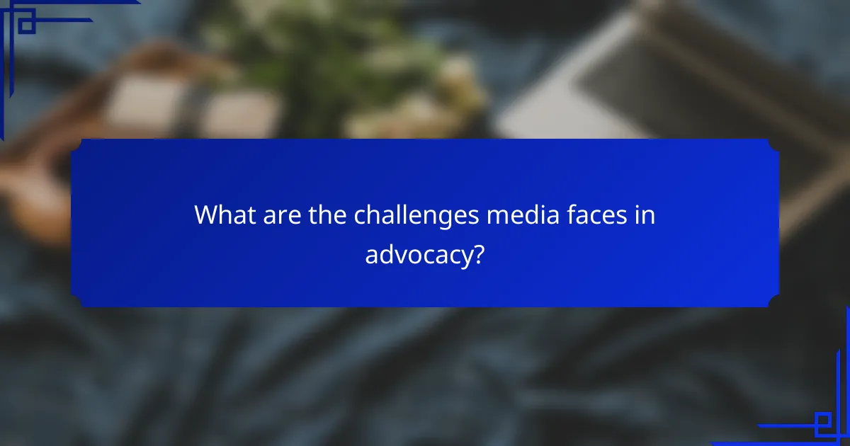 What are the challenges media faces in advocacy?