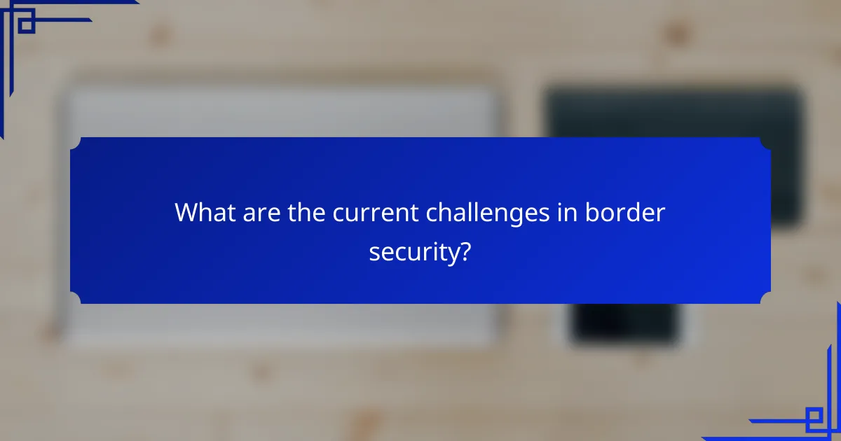 What are the current challenges in border security?
