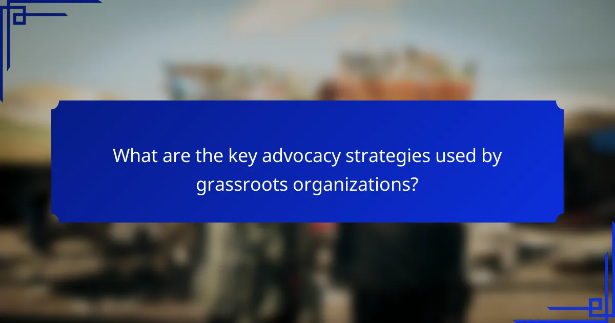 What are the key advocacy strategies used by grassroots organizations?