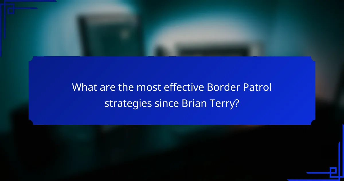 What are the most effective Border Patrol strategies since Brian Terry?