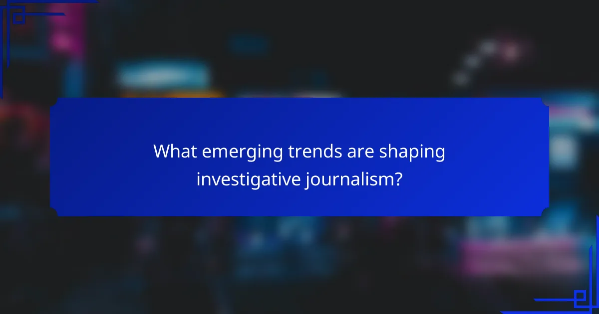 What emerging trends are shaping investigative journalism?
