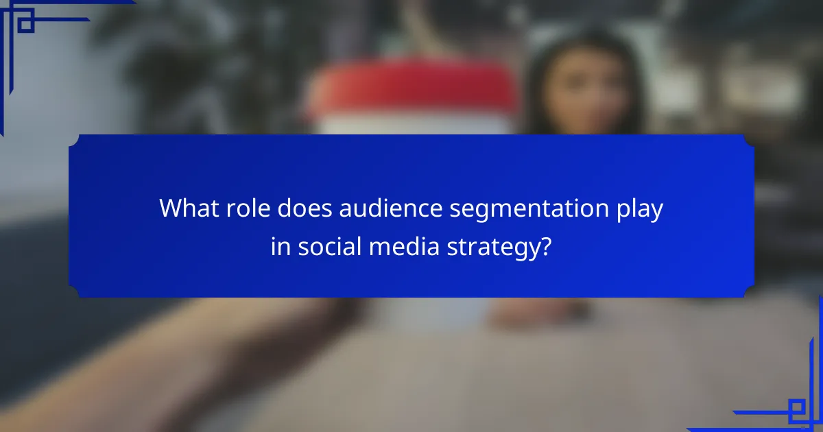 What role does audience segmentation play in social media strategy?